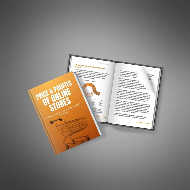 PRICE & PROFITS OF ONLINE STORES - Image 6
